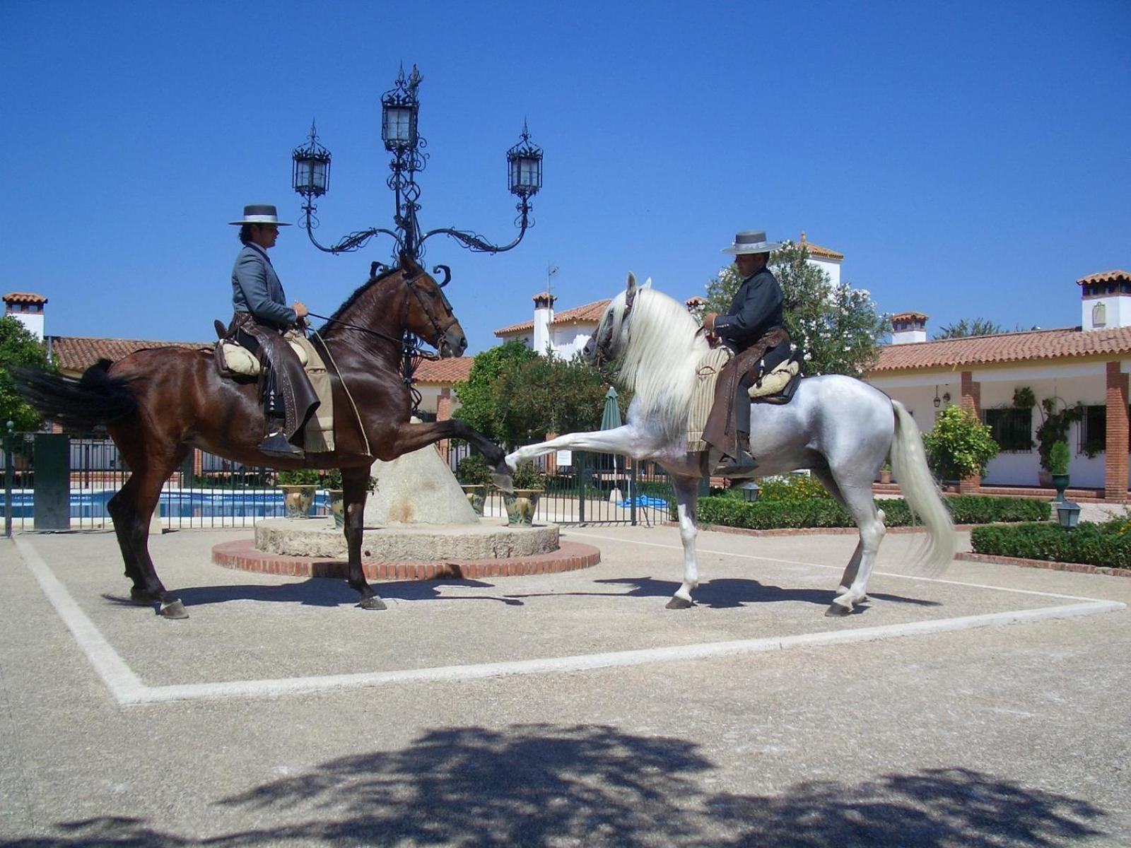 Appartement Cortijo De Frias à Cabra Extérieur photo