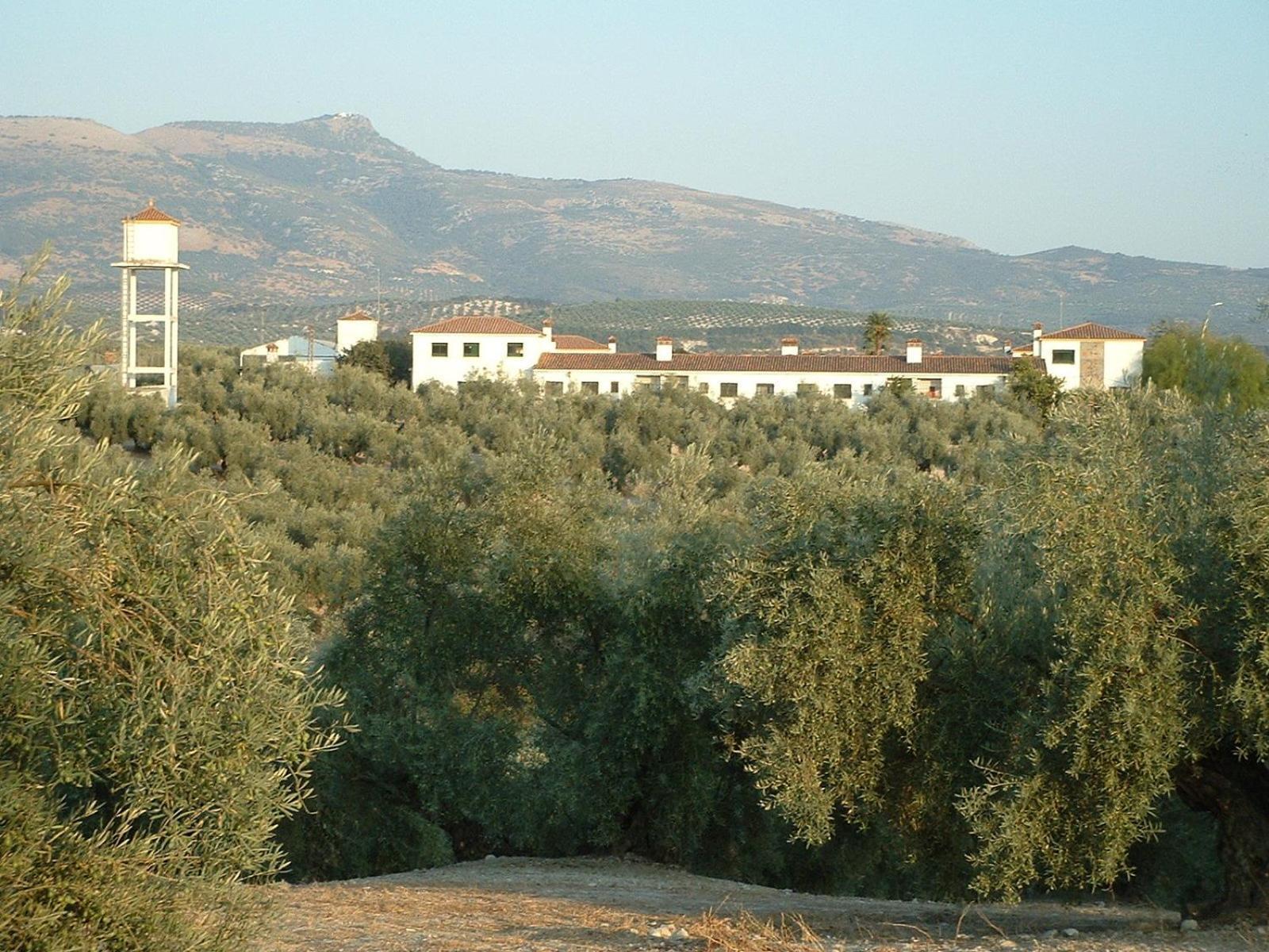 Appartement Cortijo De Frias à Cabra Extérieur photo